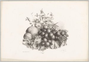 Kwiaty, brzoskwinia, nektarynka, winogrona i jeżyny Studia kwiatowe i owocowe (...) 10. odcinek (tytuł serii) autorstwa Anton Weiss