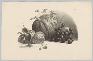 Dynia, winogrona, róża i truskawki Studia kwiatowe i owocowe (...) 3. odcinek (tytuł serii)