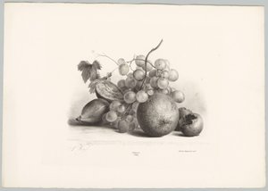 Figi, winogrona i pomarańcza Studia kwiatowe i owocowe (...) 10. odcinek (tytuł serii) autorstwa Anton Weiss