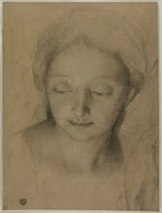 Głowa kobiety autorstwa Antonio Cavallucci