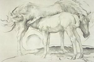 Konie w Coolmore, 1990 (węgiel na papierze)