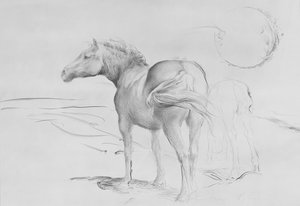 Konie w Coolmore, 1990 (węgiel na papierze) autorstwa Antonio Ciccone