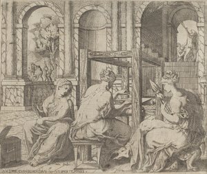 Córki Minyas, 1545.