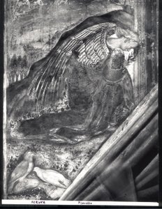 Archanioł Gabriel, fragment Zwiastowania autorstwa Antonio Pisanello
