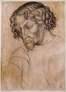 Popiersie brodatego mężczyzny, w trzech czwartych głowa pochylona w lewo. Rysunek warsztatu Antonio di Puccio Pisano dit Pisanello (1395-1455). Pióro (rysunek), krew. Wymiary: 28x20cm. Luwr, firma rysunkowa autorstwa Antonio Pisanello