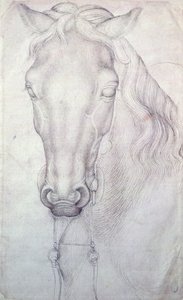 Žirgų polo vadovas autorstwa Antonio Pisanello