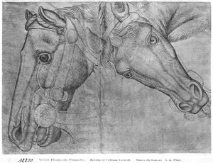 The Vallardi цомог поли-оос авсан морьдын толгойнууд autorstwa Antonio Pisanello