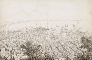 Panoramiczny widok na Neapol autorstwa Antonio Senape