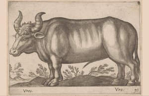 Okrągły Vres/ Vro (tytuł na obiekcie) Zwierzęta i mityczne stworzenia (tytuł serii) Nova raccolta de li animali piu curiosi del mondo (tytuł serii) autorstwa Antonio Tempesta