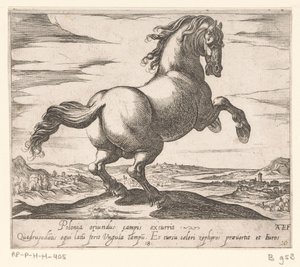 Steigerend paard naar rechts gewend Paarden uit verschiedelden landen (tytuł serii) Z tymi przywódcami będziesz uhonorowany jako przywódca z ustami viroru. autorstwa Antonio Tempesta