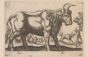 Byk Vrus/ Vro (tytuł na obiekcie) Dieren en fablewezens (tytuł serii) Nowa kolekcja najciekawszych zwierząt świata (tytuł serii) autorstwa Antonio Tempesta