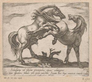 Twee parende paarden Paarden uit verschiedelden landen (tytuł serii) Z tymi przywódcami będziesz uhonorowany jako przywódca z ustami viroru.