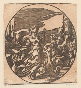 Circe picie