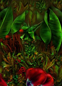 Anderswelt nr 22-2, 2025 (zdjęcie) autorstwa Antonius Antonius