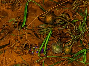 Earthart nr 2, 2014 (zdjęcie) autorstwa Antonius Antonius