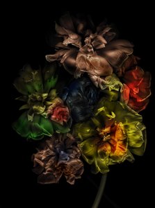 Flowers 13-1, 2025 (zdjęcie ilustracyjne) autorstwa Antonius Antonius