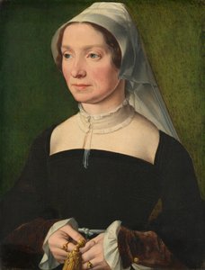 Żona członka rodziny de Hondecoeter, 1543. autorstwa Antwerp 16th Century