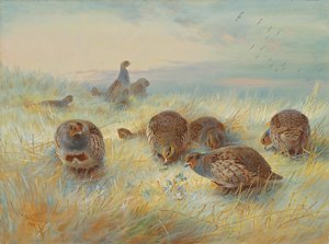 Mroźny świt autorstwa Archibald Thorburn