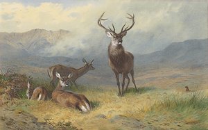 Monarcha Glena autorstwa Archibald Thorburn