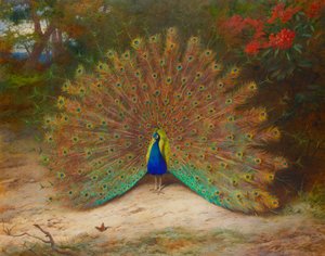 Paw i motyl paw autorstwa Archibald Thorburn
