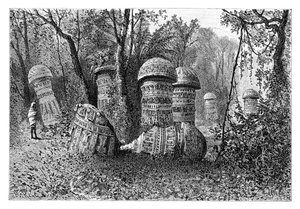 Ruiny świątyni Ahom, Dinajpur, Upper Assam, Indie, 1895.