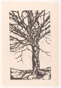 Bum na jarmuż autorstwa Arnold Pijpers (signed by artist)