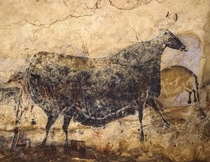 Czarna krowa. Malowidło jaskiniowe Lascaux, ok. 16.000-15.000 p.n.e. autorstwa Art of the Upper Paleolithic.