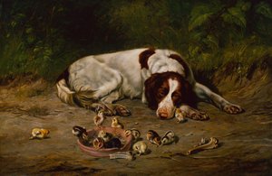 Dobry piesek autorstwa Arthur Fitzwilliam Tait