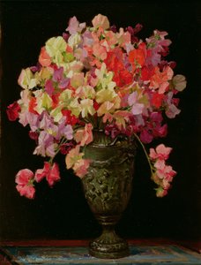 Sweetpeas, Letnia zabawa, 1930 (plansza)