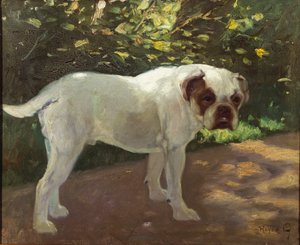 Buldog na ścieżce w ogrodzie (olej na płótnie)