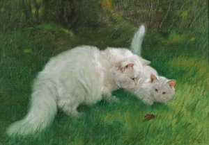 Arthur Heyer Ciekawe odkrycie w 1923 roku autorstwa Arthur Heyer