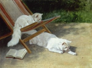 Dwa białe koty perskie z biedronką przy leżaku