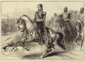 Abdul Hamid II, sułtan Turcji, przegląd swoich oddziałów