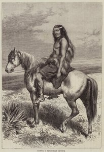 Kamilo, patagoński kacyk autorstwa Arthur Hopkins