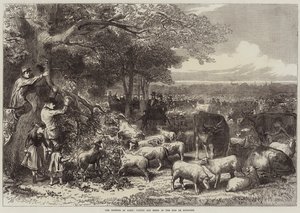 Obrona Paryża, bydła i owiec w Bois de Boulogne