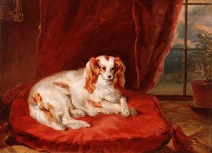 Cavalier King Charles Spaniel leżący na czerwonej poduszce autorstwa Arthur J. Stark