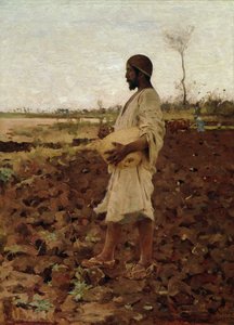 Egipski siewca, 1881