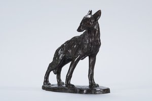 Alert Coyote (brąz)
