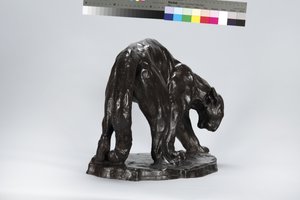 Duży ślad Puma Pachnący Wół autorstwa Arthur Putnam