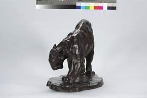 Duży ślad Puma Pachnący Wół autorstwa Arthur Putnam