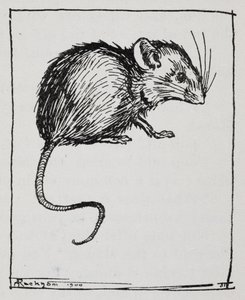 Mysz autorstwa Arthur Rackham