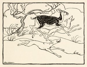 Becfola w swoim rydwanie z filmu Zaloty Becfola w irlandzkich bajkach Zobacz opis autorstwa Arthur Rackham