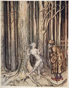 Fitchers Bird, z Little Brother & Little Sister and Other Tales by the Brothers Grimm, wyd. 1917 autorstwa Arthur Rackham