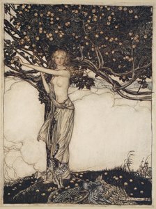 Freia, jasna, ilustracja z „Złoto Renu i Walkiria” autorstwa Arthur Rackham