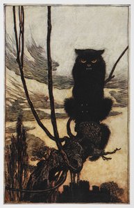 Ilustracja od Jorindy i Joringela przedstawiająca czarnego kota. autorstwa Arthur Rackham