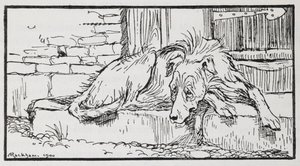 Ilustração do Velho Sultão de um dog.polish autorstwa Arthur Rackham
