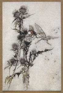polish autorstwa Arthur Rackham