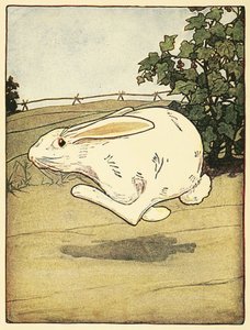 Peter nigdy nie przestał biegać, z The Tale of Peter Rabbit, pub. 1916 (kolor lito) autorstwa Arthur Rackham