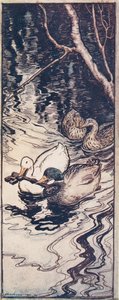 Kaczki, które kiedyś uratował, zanurkowały i wydobyły klucz z głębin z The Fairy Tales of the Brothers Grimm, pub. 1909 autorstwa Arthur Rackham