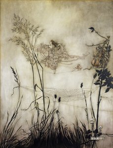 Wróżki są znakomitymi tancerzami, ilustracja w Piotrusiu Panu w Kensington Gardens autorstwa J.M Barrie (1860-1937) 1906 (pióro i atrament z toaletą na papierze) autorstwa Arthur Rackham